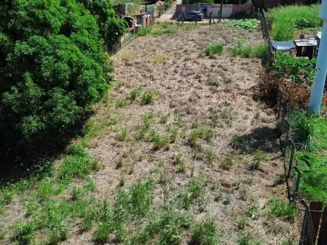 Sítio e chácara venda em Região Imediata de São José do Rio Preto, Região Metropolitana de São José do Rio Preto