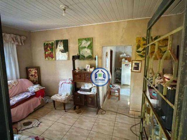 Sítio e chácara venda em São José do Rio Preto
