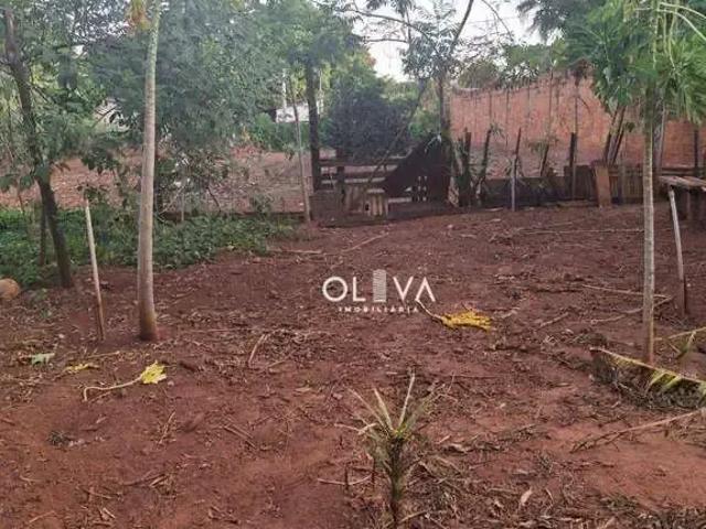 Sítio e chácara venda em Região Imediata de São José do Rio Preto, Região Metropolitana de São José do Rio Preto