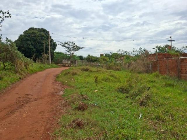 Sítio e chácara venda em São José do Rio Preto