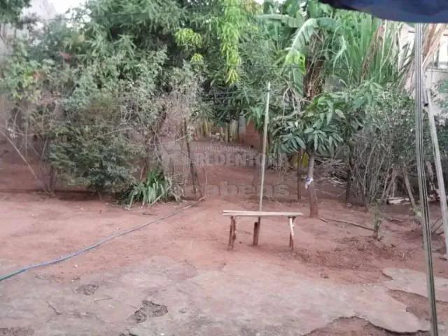 Sítio e chácara venda em Região Imediata de São José do Rio Preto, Região Metropolitana de São José do Rio Preto