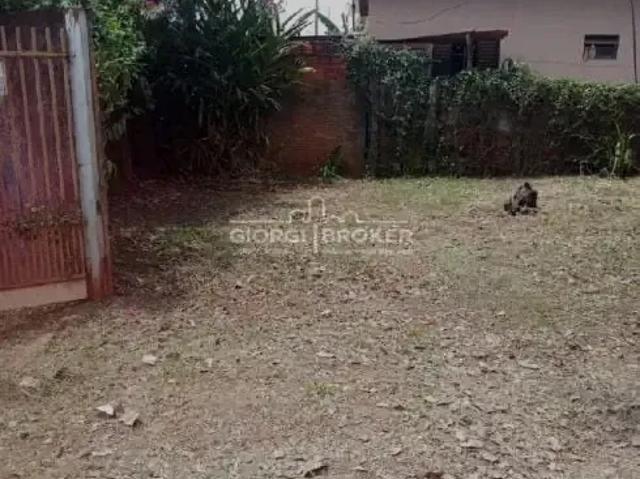 Sítio e chácara venda em Região Imediata de São José do Rio Preto, Região Metropolitana de São José do Rio Preto