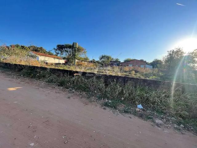 Sítio e chácara venda em Região Imediata de São José do Rio Preto, Região Metropolitana de São José do Rio Preto