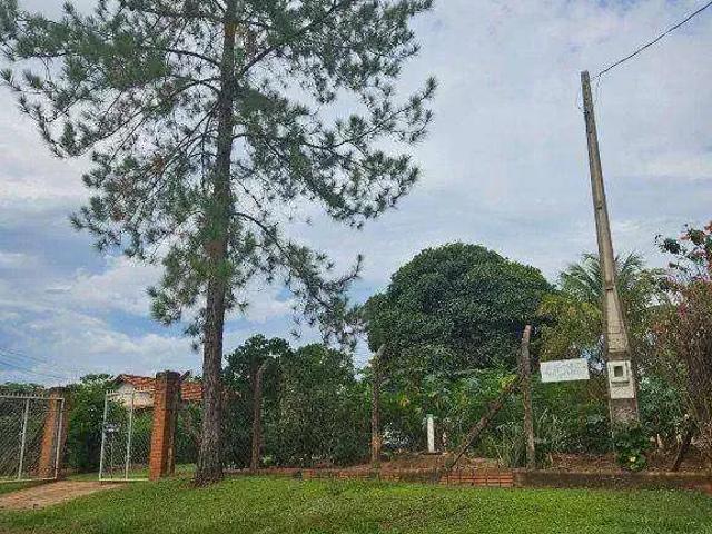 Sítio e chácara venda em Região Imediata de São José do Rio Preto, Região Metropolitana de São José do Rio Preto