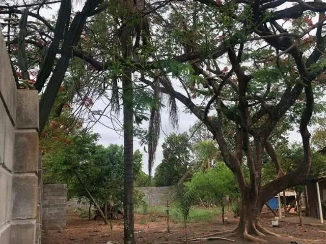 Sítio e chácara venda em Região Imediata de São José do Rio Preto, Região Metropolitana de São José do Rio Preto