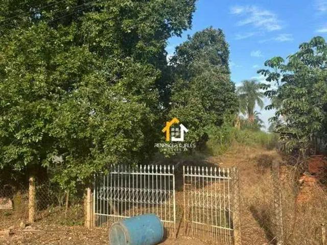 Sítio e chácara venda em Região Imediata de São José do Rio Preto, Região Metropolitana de São José do Rio Preto