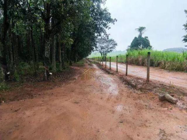 Sítio e chácara venda em Região Imediata de São José do Rio Preto, Região Metropolitana de São José do Rio Preto