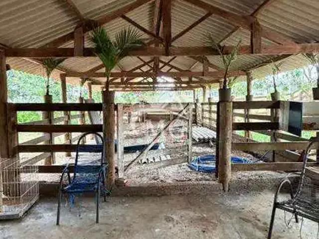 Sítio e chácara venda em Região Imediata de São José do Rio Preto, Região Metropolitana de São José do Rio Preto