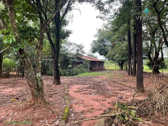 Sítio e chácara venda em Região Imediata de São José do Rio Preto, Região Metropolitana de São José do Rio Preto