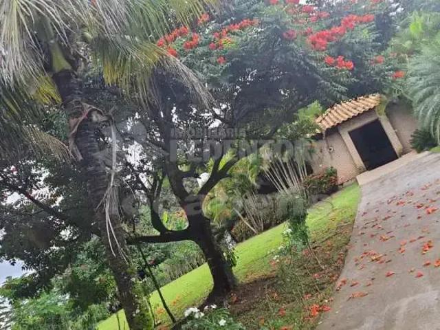 Sítio e chácara venda em Região Imediata de São José do Rio Preto, Região Metropolitana de São José do Rio Preto