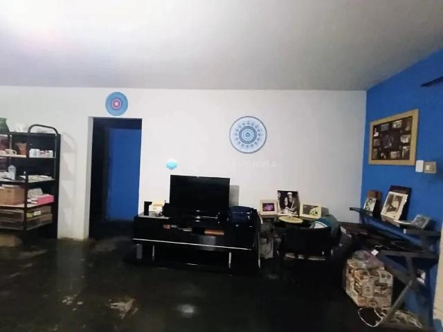 Sítio e chácara venda em São José do Rio Preto