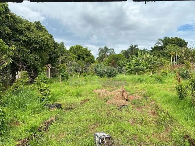 Sítio e chácara venda em São José do Rio Preto, Região Geográfica Intermediária de São José do Rio Preto