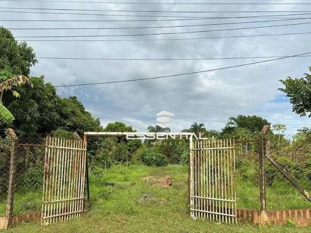 Sítio e chácara venda em Região Imediata de São José do Rio Preto, Região Metropolitana de São José do Rio Preto