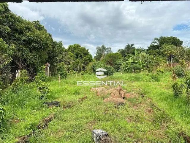 Sítio e chácara venda em Região Imediata de São José do Rio Preto, Região Metropolitana de São José do Rio Preto
