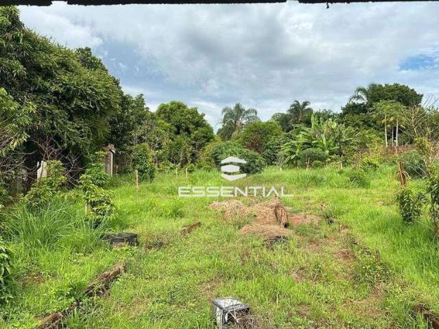 Sítio e chácara venda em São José do Rio Preto