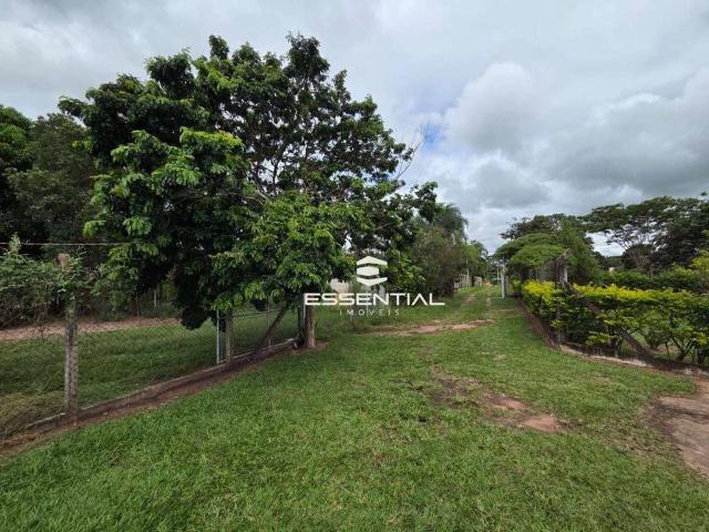 Sítio e chácara venda em São José do Rio Preto