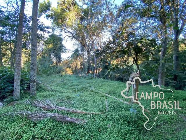 Sítio e chácara venda em Região Imediata de São José dos Campos, Região Metropolitana do Vale do Paraíba e Litoral Norte