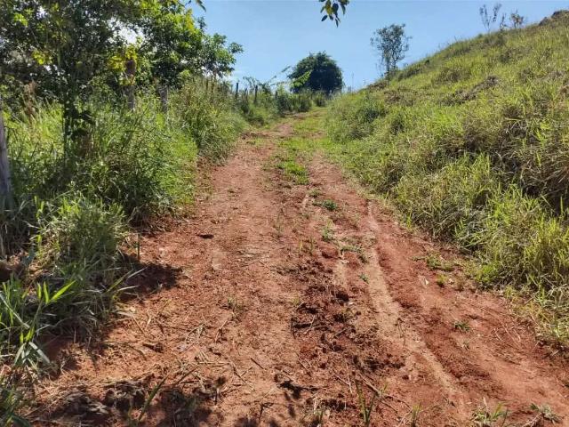 Sítio e chácara venda em São José dos Campos