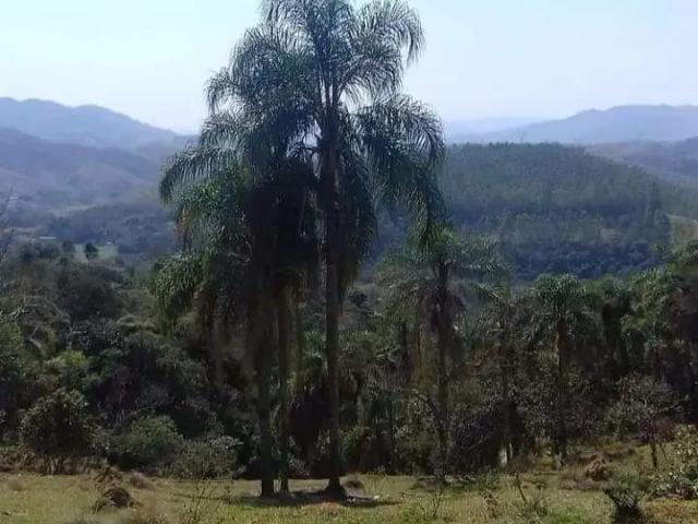 Sítio e chácara venda em Região Imediata de São José dos Campos, Região Metropolitana do Vale do Paraíba e Litoral Norte