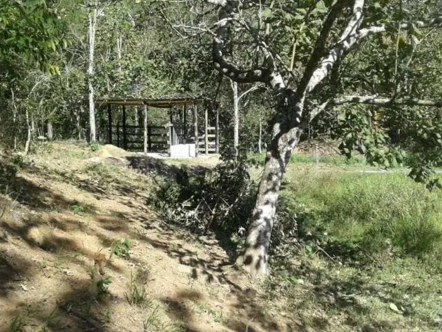 Sítio e chácara venda em São José dos Campos