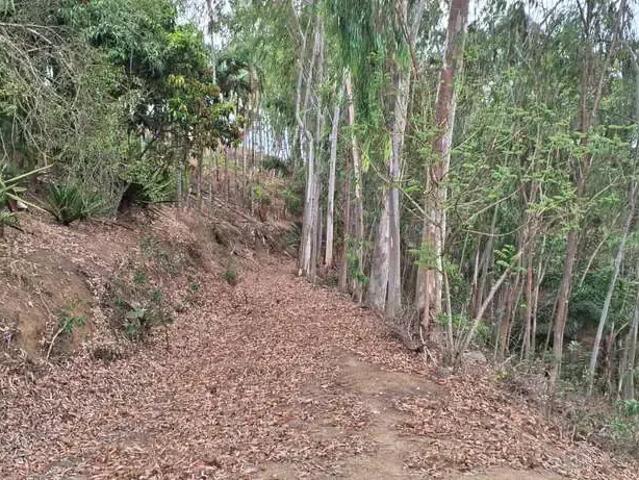Sítio e chácara venda em Região Imediata de São José dos Campos, Região Metropolitana do Vale do Paraíba e Litoral Norte