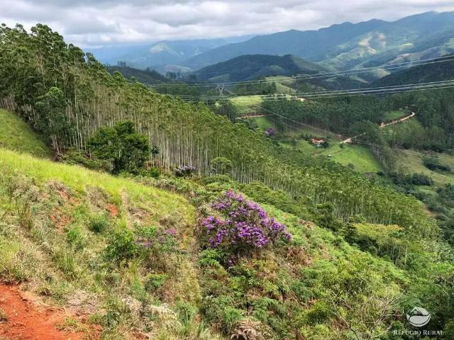 Sítio e chácara venda em Região Imediata de São José dos Campos, Região Metropolitana do Vale do Paraíba e Litoral Norte