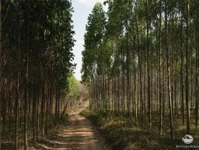 Sítio e chácara venda em Região Imediata de São José dos Campos, Região Metropolitana do Vale do Paraíba e Litoral Norte