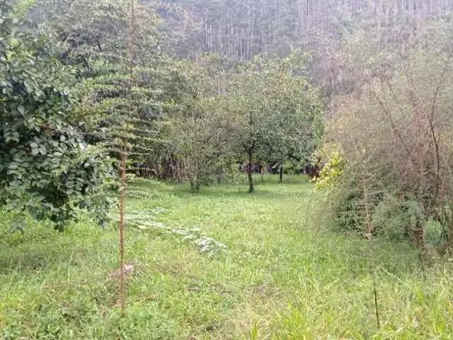 Sítio e chácara venda em Região Imediata de São José dos Campos, Região Metropolitana do Vale do Paraíba e Litoral Norte