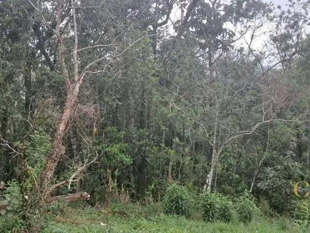Sítio e chácara venda em Região Imediata de São José dos Campos, Região Metropolitana do Vale do Paraíba e Litoral Norte