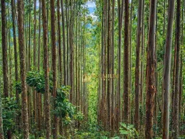 Sítio e chácara venda em Região Imediata de São José dos Campos, Região Metropolitana do Vale do Paraíba e Litoral Norte
