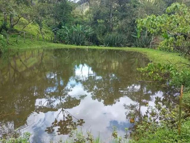 Sítio e chácara venda em São José dos Campos