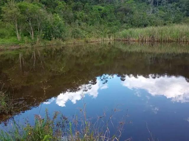 Sítio e chácara venda em Região Imediata de São José dos Campos, Região Metropolitana do Vale do Paraíba e Litoral Norte