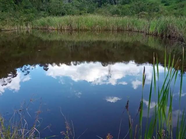 Sítio e chácara venda em Vila Veneziani, São José dos Campos
