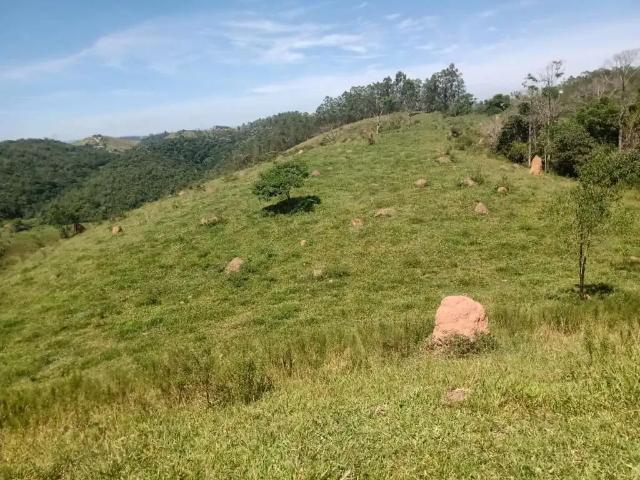 Sítio e chácara venda em São José dos Campos