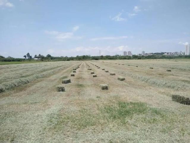 Sítio e chácara venda em Região Imediata de São José dos Campos, Região Metropolitana do Vale do Paraíba e Litoral Norte