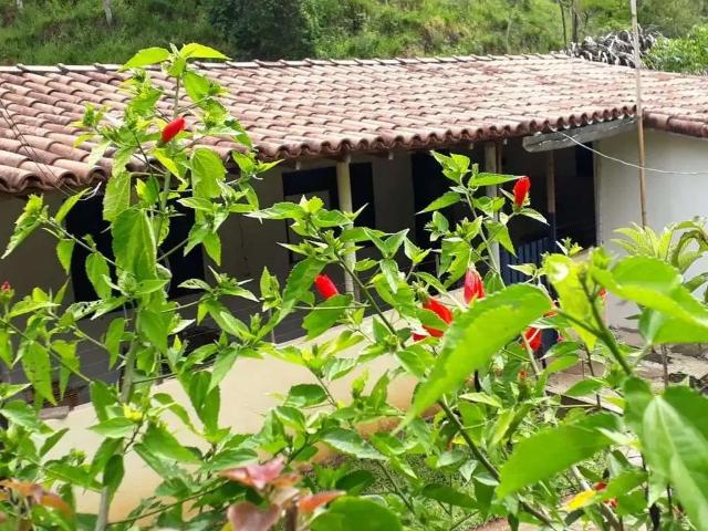 Sítio e chácara venda em São José dos Campos