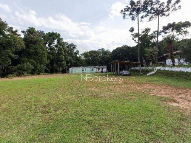 Sítio e chácara venda em Região Geográfica Imediata de Curitiba, Região Metropolitana de Curitiba
