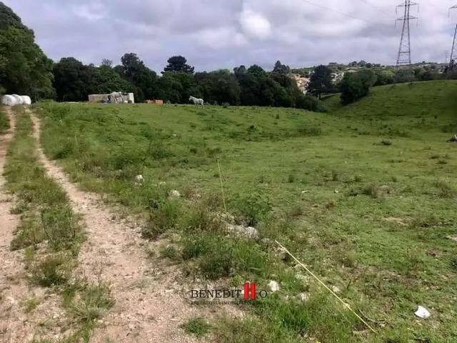 Sítio e chácara venda em Região Geográfica Imediata de Curitiba, Região Metropolitana de Curitiba