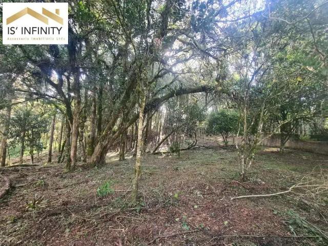 Sítio e chácara venda em Região Geográfica Imediata de Curitiba, Região Metropolitana de Curitiba
