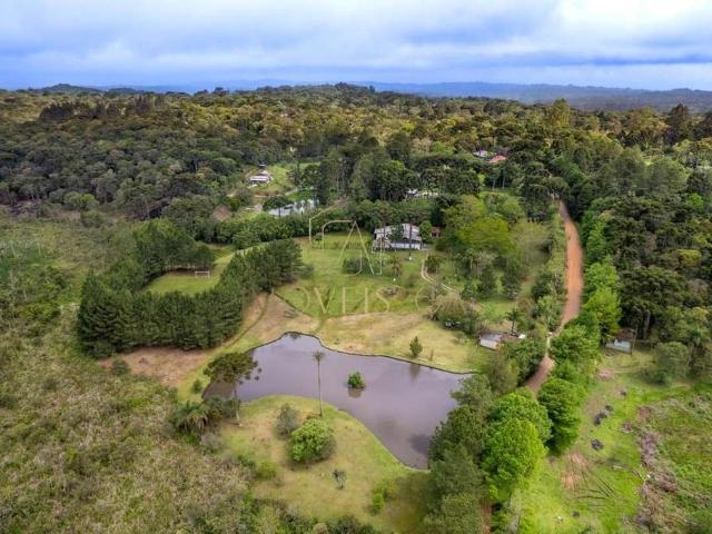 Sítio e chácara venda em Região Geográfica Imediata de Curitiba, Região Metropolitana de Curitiba