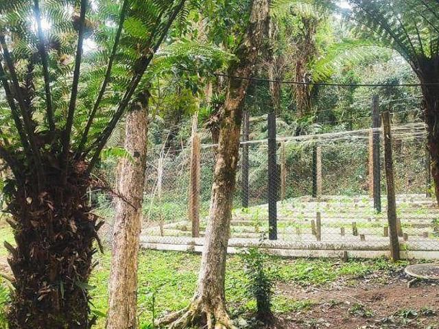 Sítio e chácara venda em Região Geográfica Imediata de Curitiba, Região Metropolitana de Curitiba