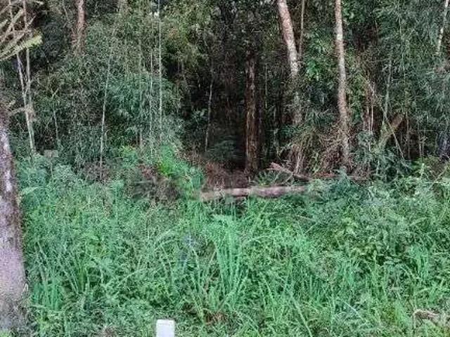 Sítio e chácara venda em Região Geográfica Imediata de Curitiba, Região Metropolitana de Curitiba