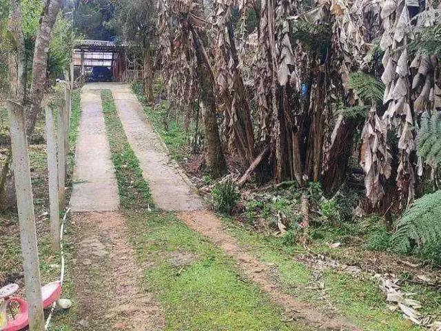 Sítio e chácara venda em Região Geográfica Imediata de Curitiba, Região Metropolitana de Curitiba
