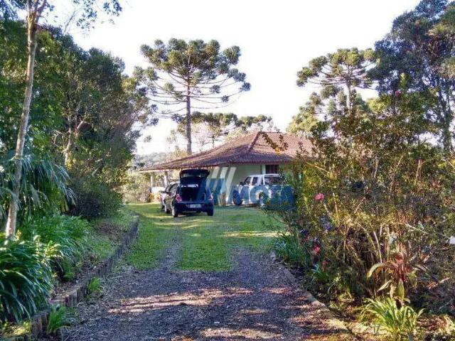 Sítio e chácara venda em Região Geográfica Imediata de Curitiba, Região Metropolitana de Curitiba