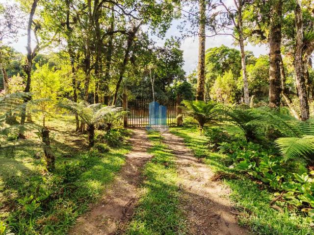 Sítio e chácara venda em Região Geográfica Imediata de Curitiba, Região Metropolitana de Curitiba
