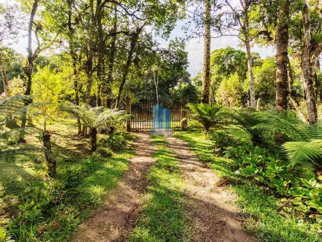 Sítio e chácara venda em Região Geográfica Imediata de Curitiba, Região Metropolitana de Curitiba