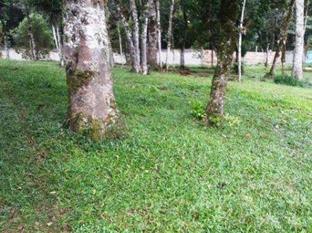 Sítio e chácara venda em Região Geográfica Imediata de Curitiba, Região Metropolitana de Curitiba