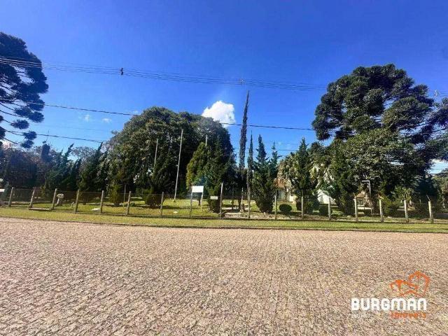 Sítio e chácara venda em Região Geográfica Imediata de Curitiba, Região Metropolitana de Curitiba
