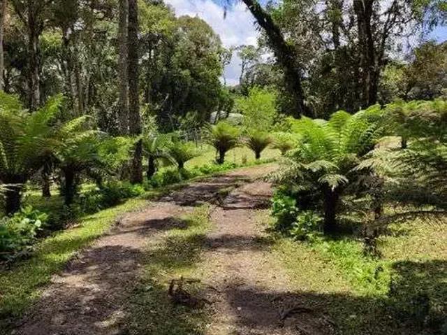 Sítio e chácara venda em Região Geográfica Imediata de Curitiba, Região Metropolitana de Curitiba