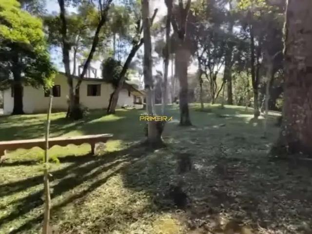 Sítio e chácara venda em Região Geográfica Imediata de Curitiba, Região Metropolitana de Curitiba